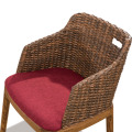 Leisure Living room garden rattan chair