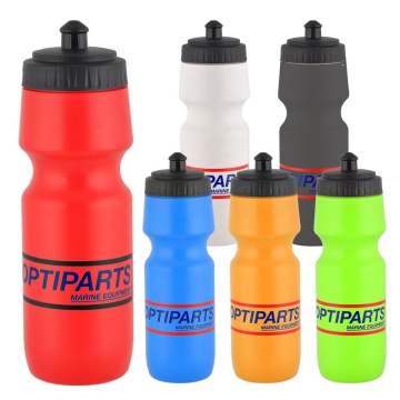 Hot Sale: Affordable BPA-Free Promotional Water Bottle with Push-Pull Lid