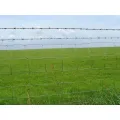 Heavy Galvanized Field Fence Hinge Joint Fence