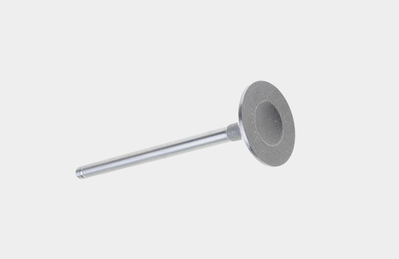2221126600 Intake Valve for Engine