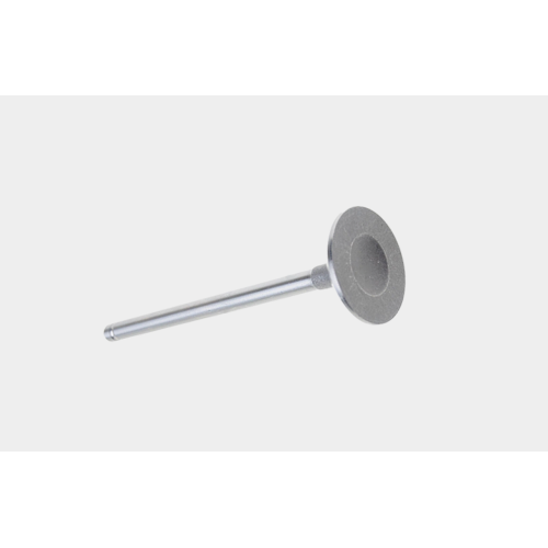 Intake Valve for Engine