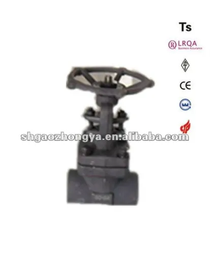 "Class 300" A105 globe valve for petroleum