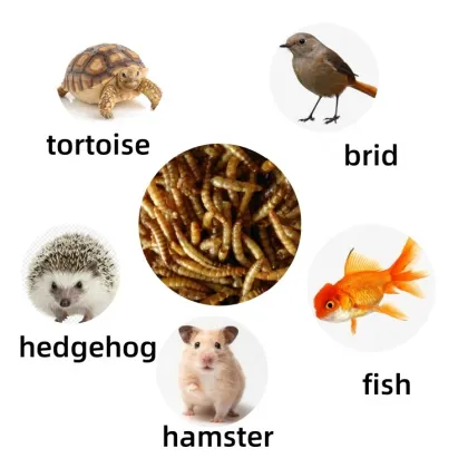 Bulk Hedgehog Rations: Grain Food, Bread, and Dried Worms