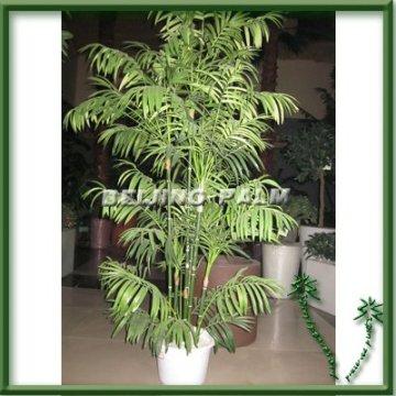 factory price artificial plant,plastic plant,Chrysalidocarpus,palm plant