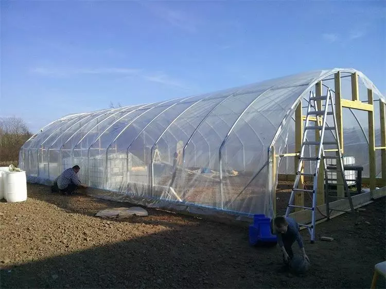 Tunnel greenhouse with UV protection for growing vegetables