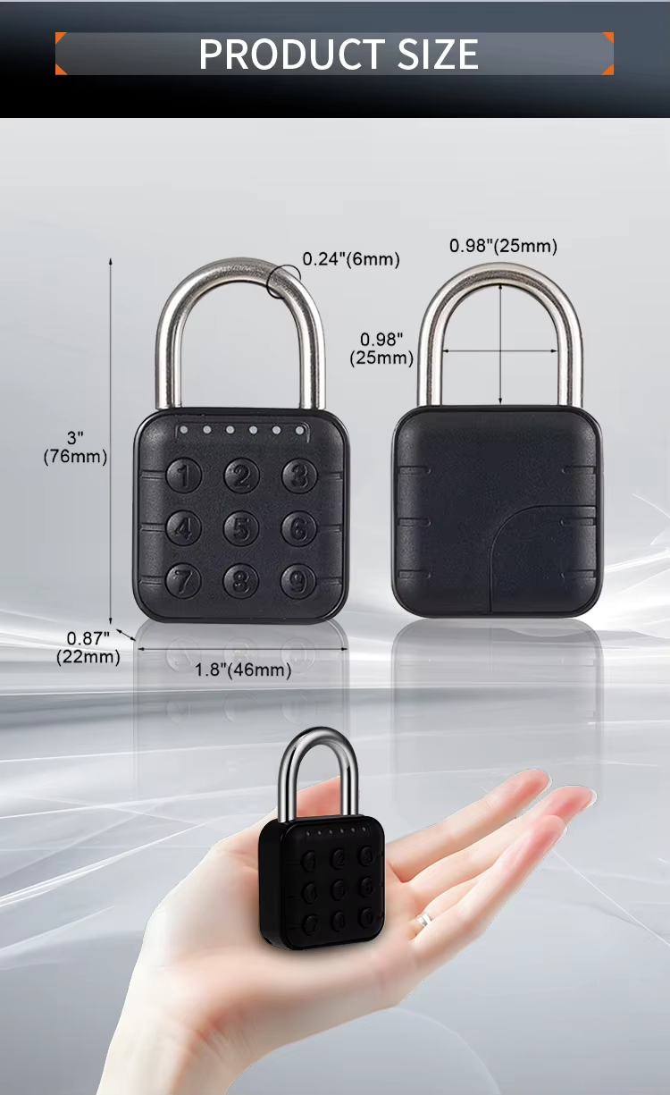 6 Battery-powered padlock