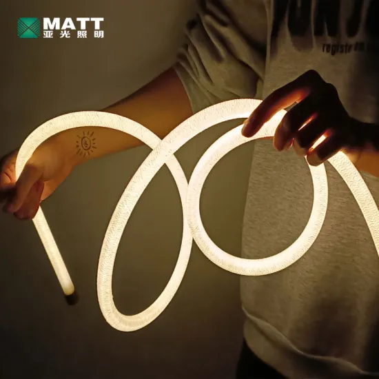Custom Length Matt Neon Flex Rope Light 12v 24v 18mm 20mm Silicone LED