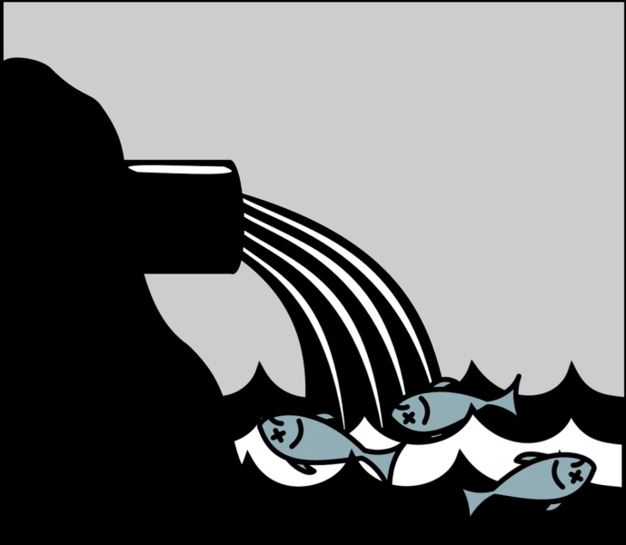 Sewage discharge pollution