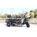 Leisure Life 3 Wheel Tricycle For 2-3 People