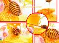 الغذاء العضوي أكاسيا عسل النحل