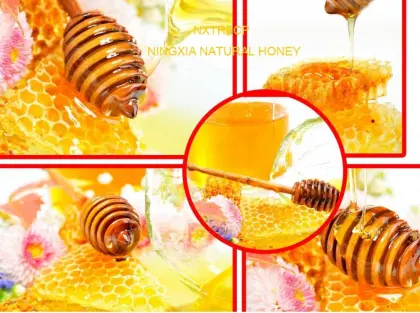 organic food Acacia Bee Honey