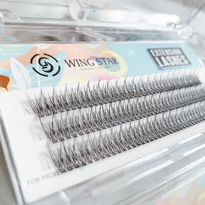 Wink Show Lash Extension Sleep Eyemask and Glue