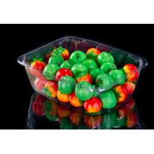 Disposable Salad Tub for USA