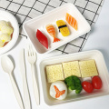 500ml Bagasse Retangular Tray