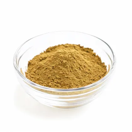 Astragalus extract powder for sale