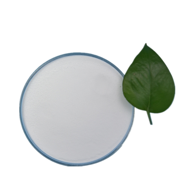 Lactococcus lactis Powder Supplement Benefits