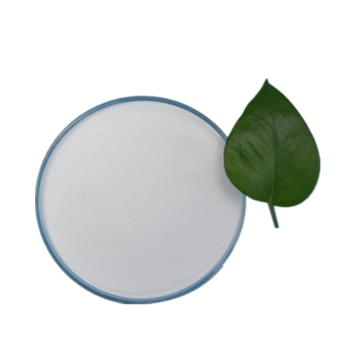 Lactococcus lactis Powder Supplement Benefits