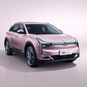 2023 Four Wheel Electric Car Neta U-II Domestic SUV Front Wheel Drive