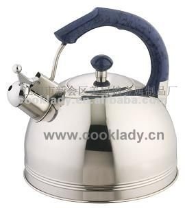 metal water kettle CL3000