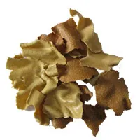 integrated screw oi press