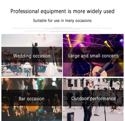 Professional DSP Effects Audio Processor for KTV, Home Karaoke, and Stage Performance