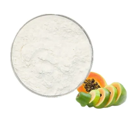 Food Grade White Powder Organic Papain Powder
