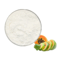 Nahrungsmittelqualität weißes Pulver Bio -Papain -Pulver