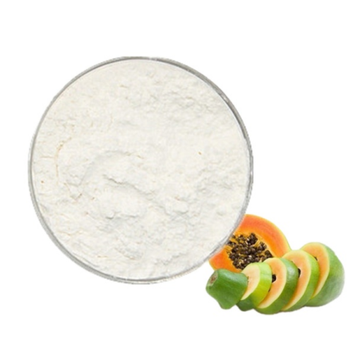 Nahrungsmittelqualität weißes Pulver Bio -Papain -Pulver
