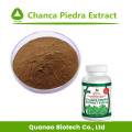 Chanca Piedra Extract / Phyllanthus urinaria L. Powder