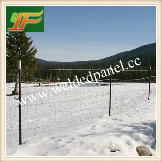 Farm Animals Enclosure Fence/ Cattle Mesh Fence (Anping Yunfei Factory)