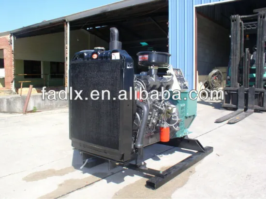20kw Single Phase Diesel Generator Set with GTR116 Auto Start