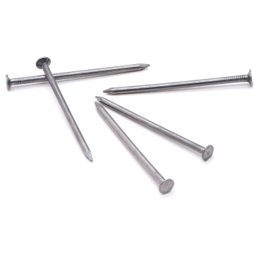 China Supplier of Q195 Building Common Iron Nails and Steel Nails