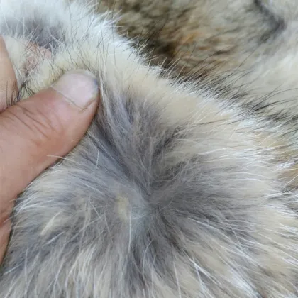 Custom real natural coyote fur trim coyote fur collar