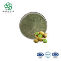 Organic Kiwi Fruit Extract Powder High in Vitamin C