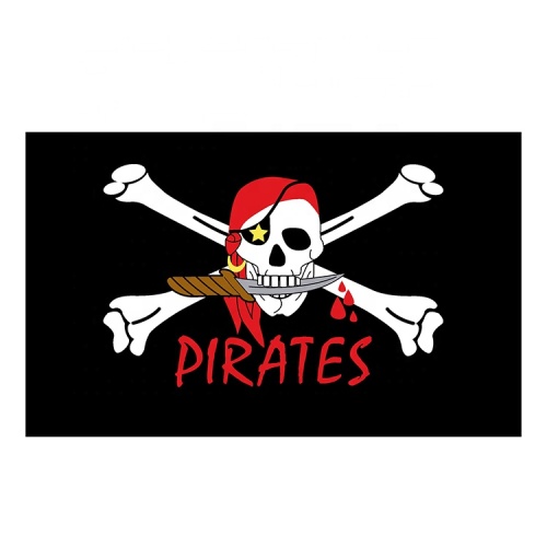 factory price Polyester outdoor custom fabric pirate flag