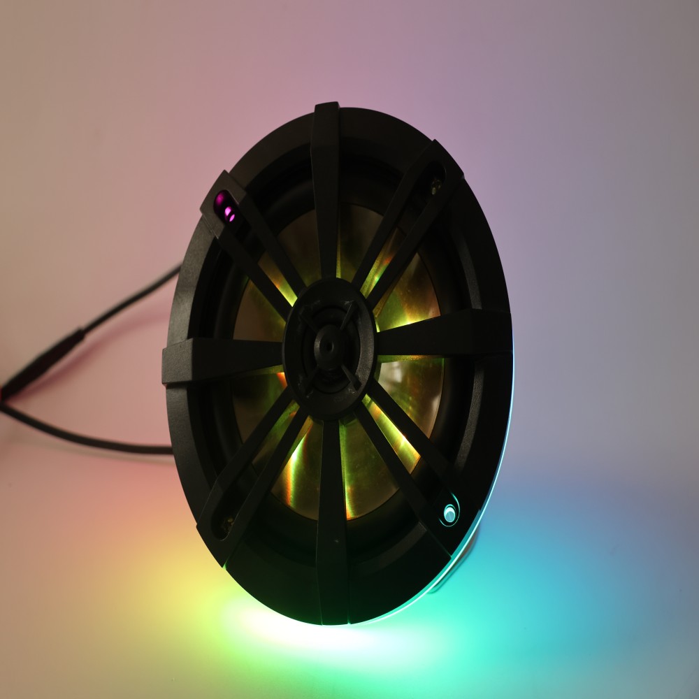 car speaker12