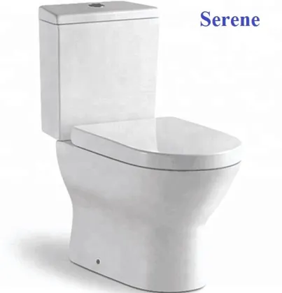 Ceramic Squat Toilet with Multifunction Features and Porcelain Flush Tank