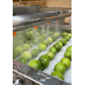 Attrezzatura per lavaggio della frutta macchina per il detergente per frutta