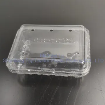 15*20cm Food Storage Pet Material Plastic Container