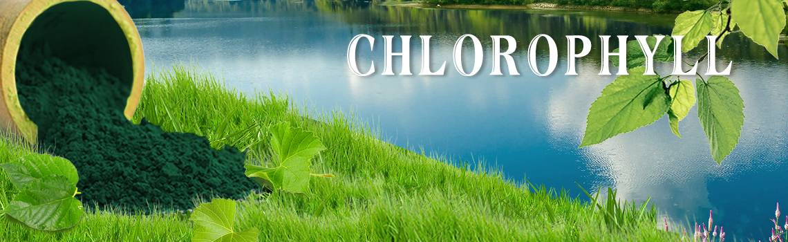 liquid chlorophyll