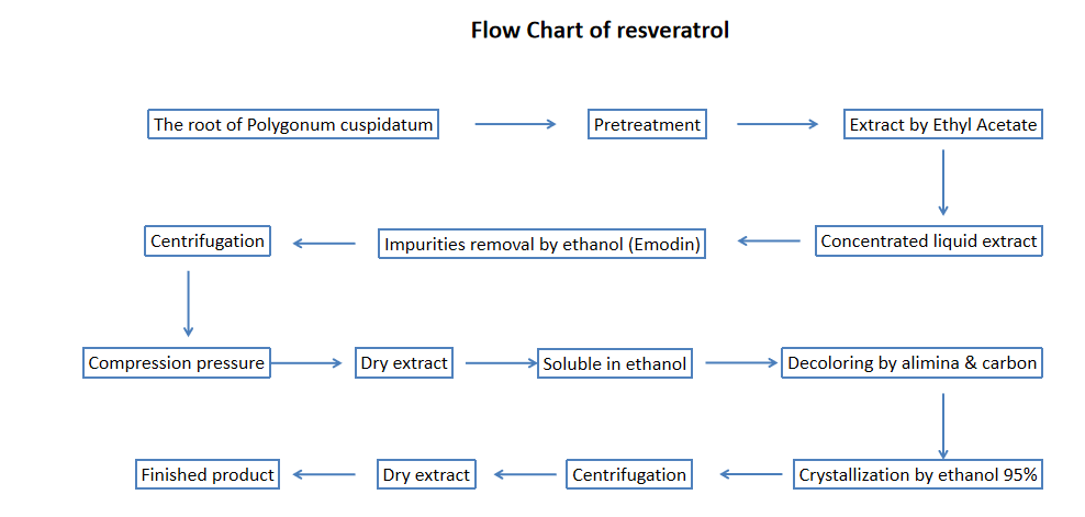 Flow Chart