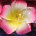 4/5/6/7 CM Plumeria Foam Frangipani Bloemen Kerst Decor