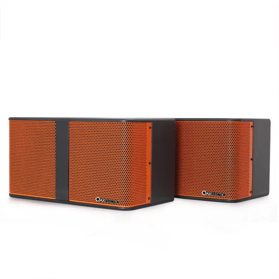 Home karaoke speakers China