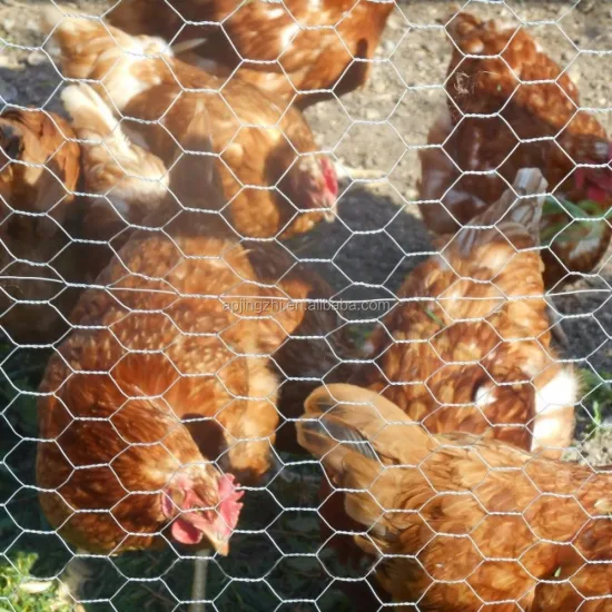 Hexagonal Wire Mesh Metal Fencing: 0.50M x 10M Gabion Mesh with Ow-Carbon Iron Wire for Garden Plants and Chicken Enclosure