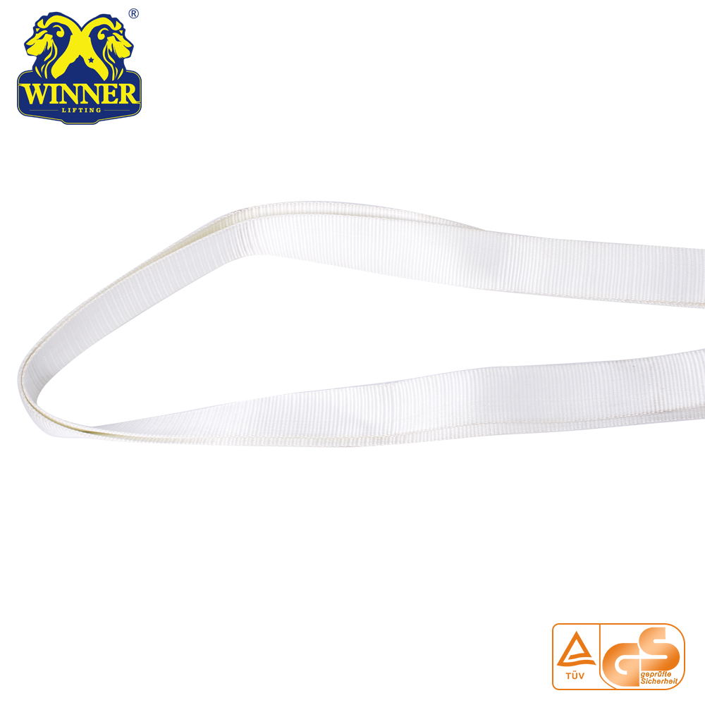 2.5Ton Heavy Duty Factory Price Polyester Soft Webbing Round Sling
