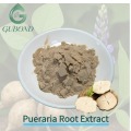 Pueraria 1%–98% Polvo de extracto de raíz de Lobata Kudzu