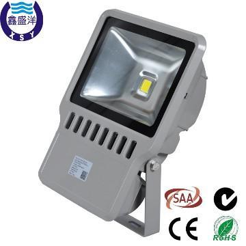 100W IP65 LED Flood Light with SAA C-Tick CE RoHS, 3 years warranty.