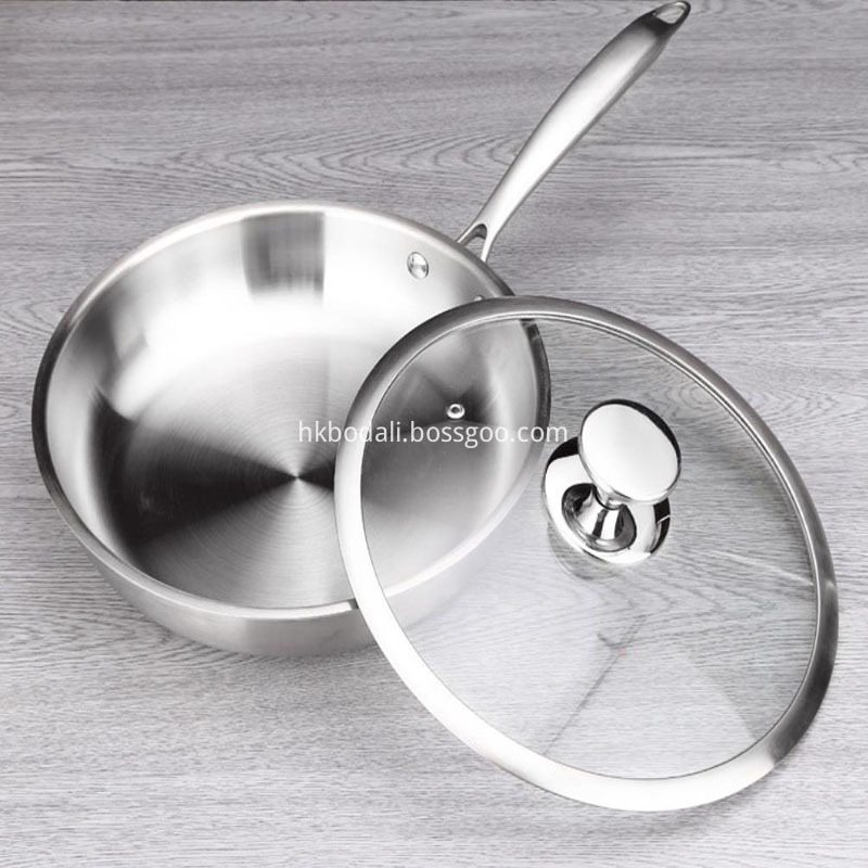 Stainless Steel Pan All Clad