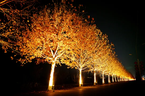 outdoor garden light led dealer