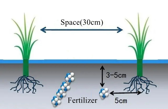 deep-side fertilization